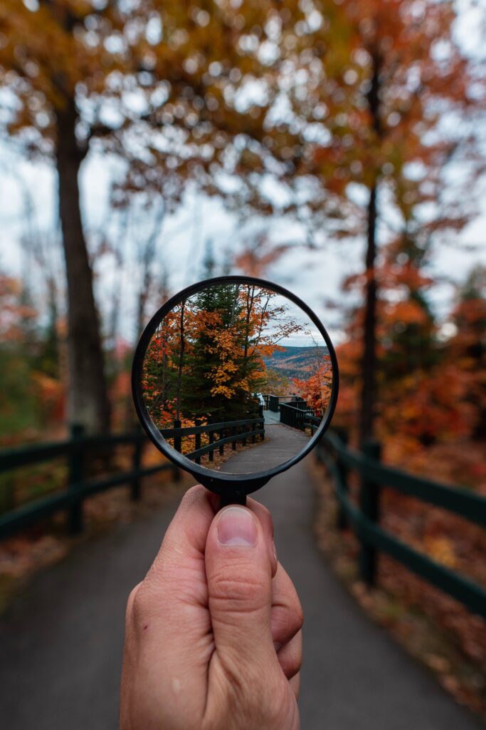 a magnifying glass shows a path forward in the forest