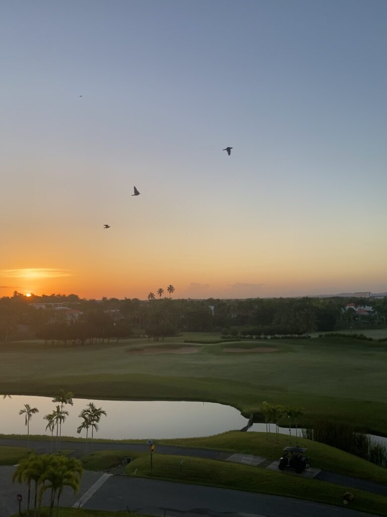 That's sunrise over Puerto Rico in May 2023. Birds fly through the sky as the sun comes up